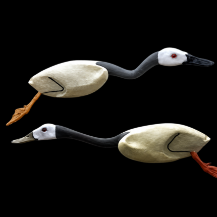 Bird Necks