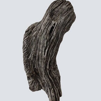Driftwood Wall