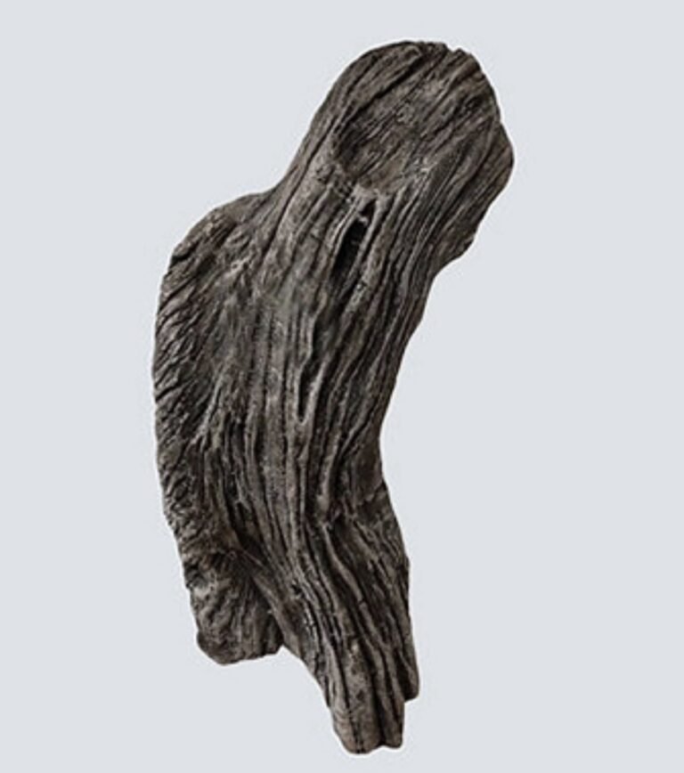 Driftwood Wall