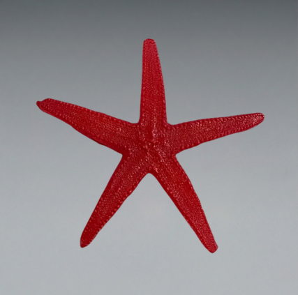 Flexible Starfish (Single or 5 Piece)