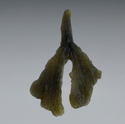 Sea Lettuce (7 Piece)