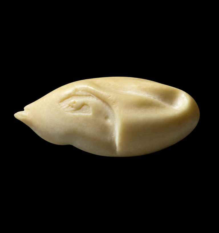 Standing Duck Bodies – Revolutionary Series
