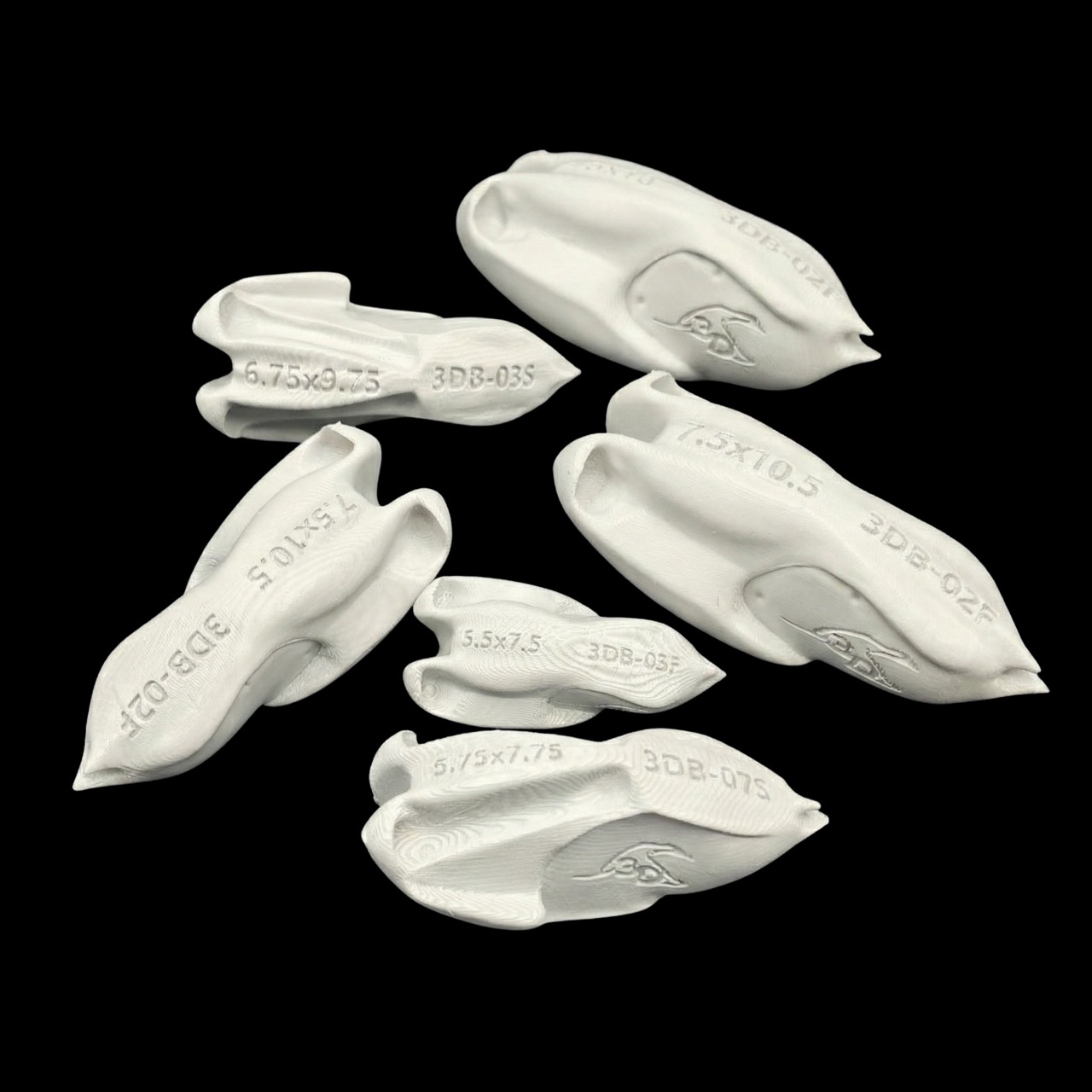 Evolution Series – Flying Bird Bodies Evolution Series – Flying Bird Bodies
