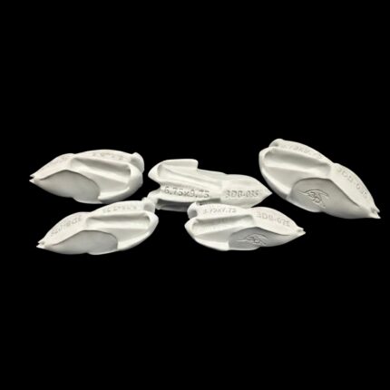 Evolution Series – Standing Bird Bodies