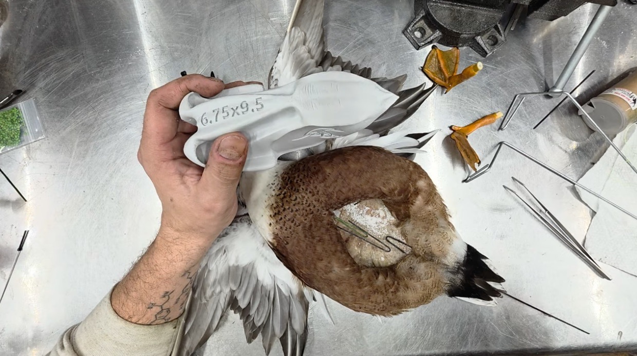 how to video for evolution series