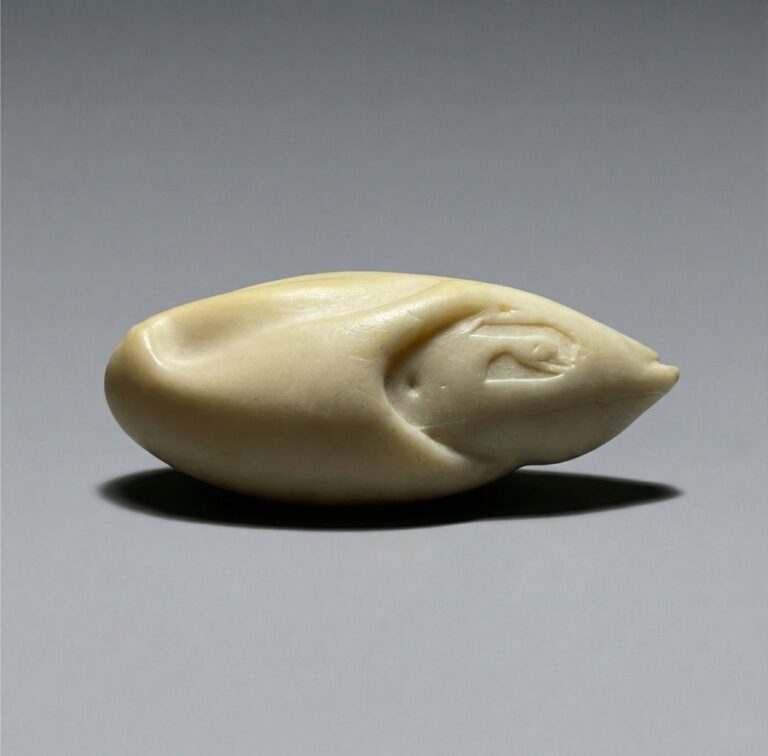 Flying Duck Bodies Revolutionary Series