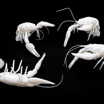 Crawfish