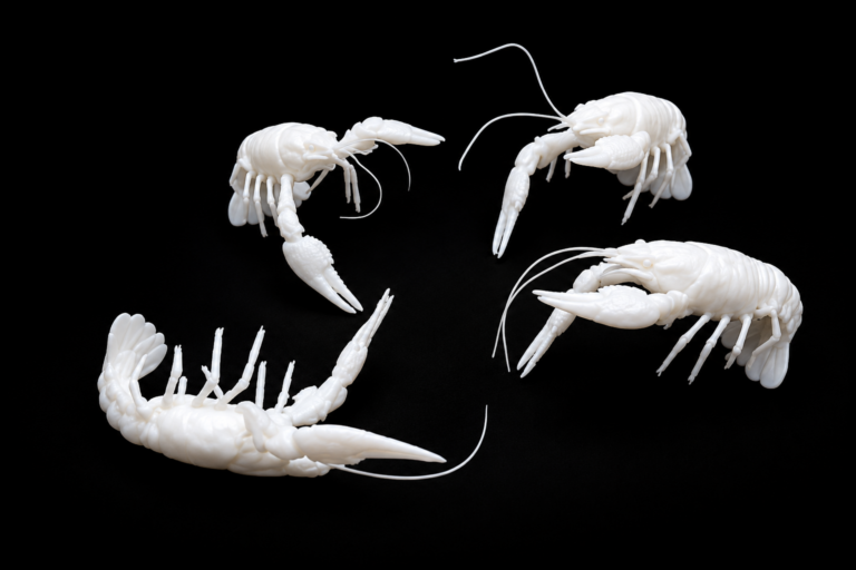 Crawfish